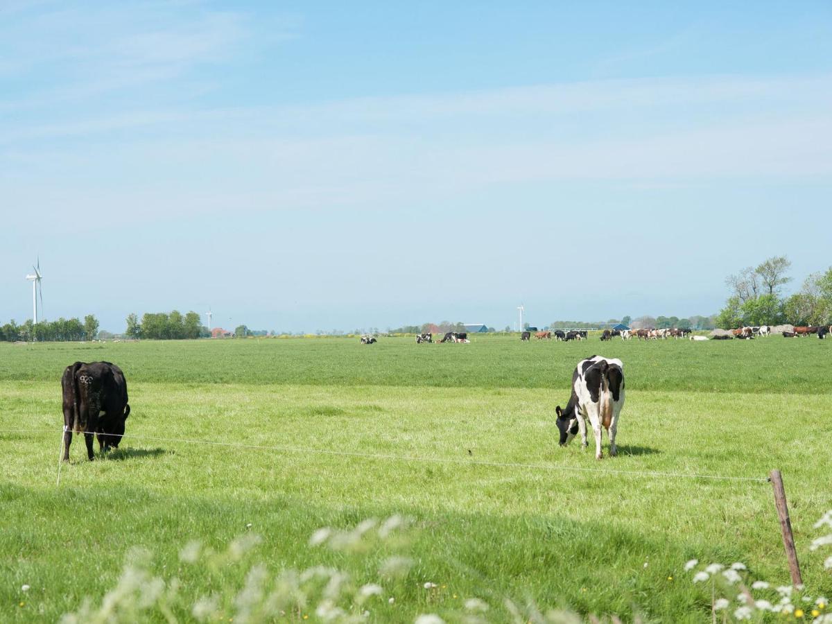 Charming House In Easterlittens On A Frisian Farm Wommels Екстериор снимка