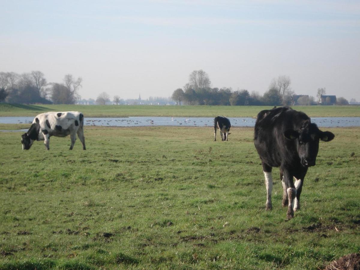 Charming House In Easterlittens On A Frisian Farm Wommels Екстериор снимка